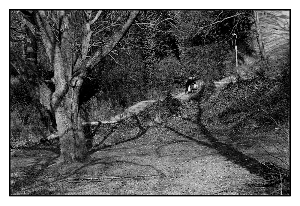 Woodland Shoppers APUG.jpg