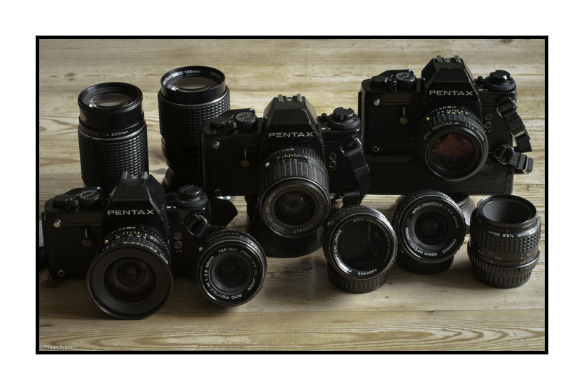 WORKHORSES.JPG