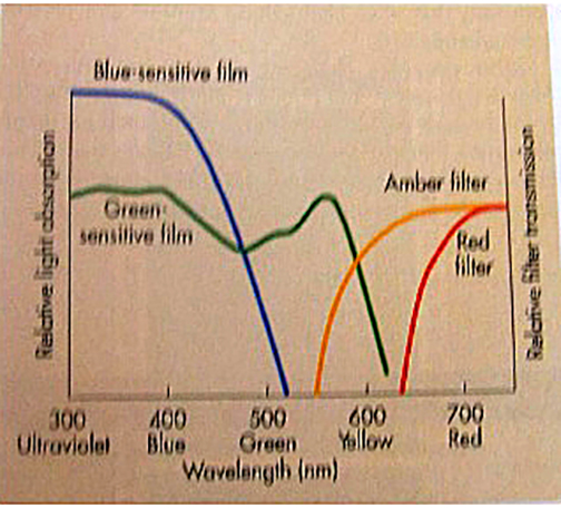 X-Ray Safelight.jpg