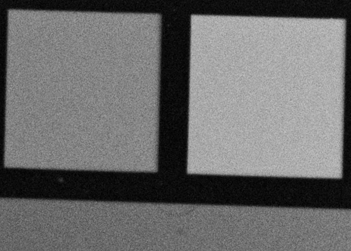 xtol-crop.jpg