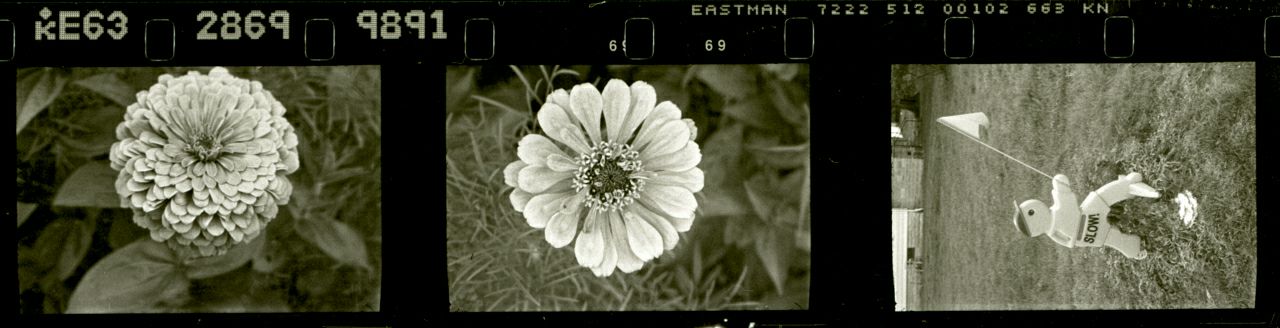 xx_xtol11_mgs_60s_2_s.jpg
