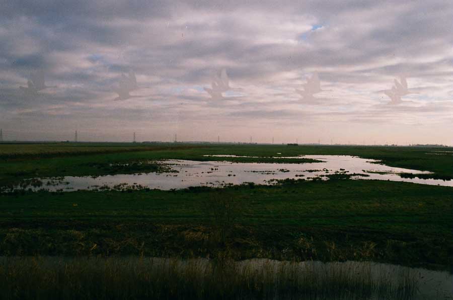 Yashica-230AF-04.jpg