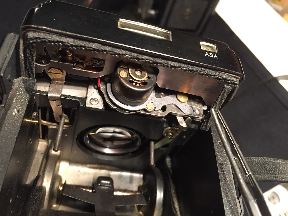 Yashica .jpeg