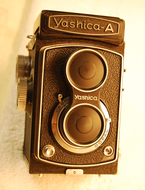 Yashica_A_1.jpg