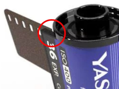 yashica_main_1.jpg