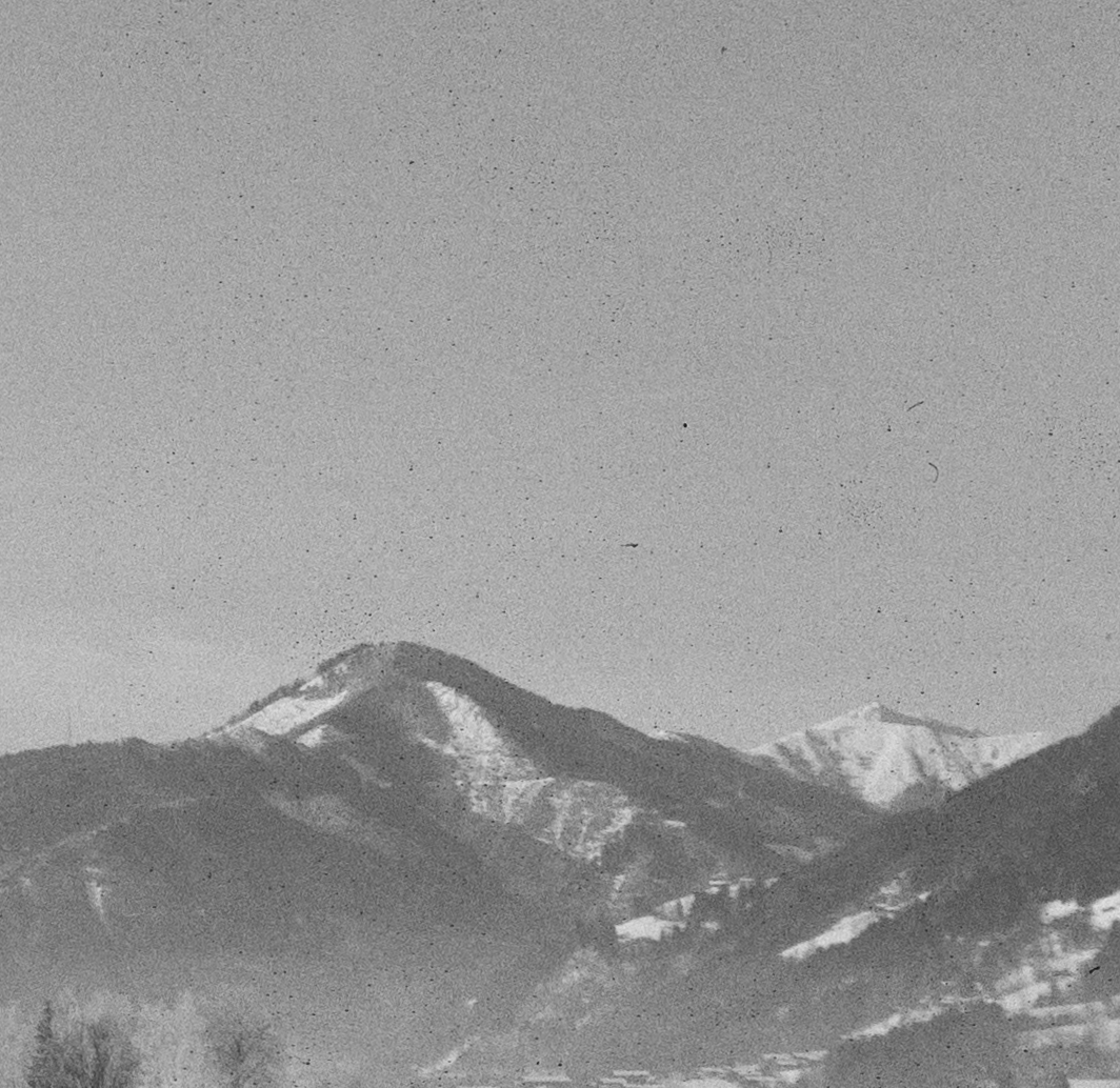 Z50_6417-2.jpg