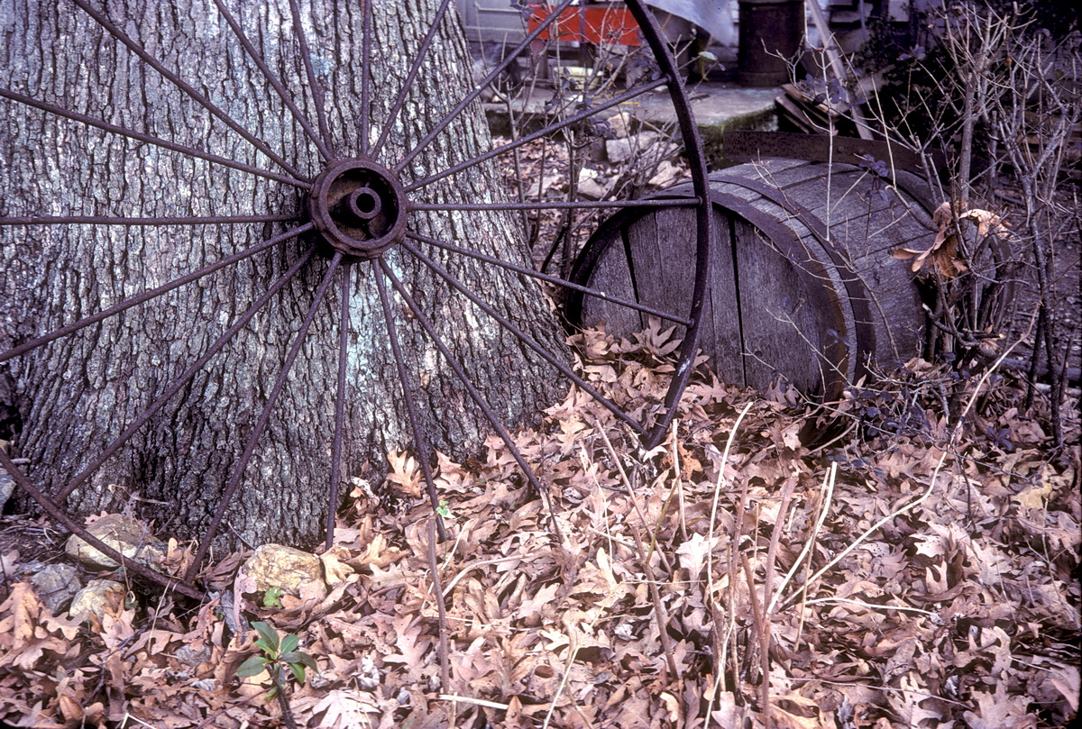 ZebleyTom-Clifton-wheel-821226_resize.JPG
