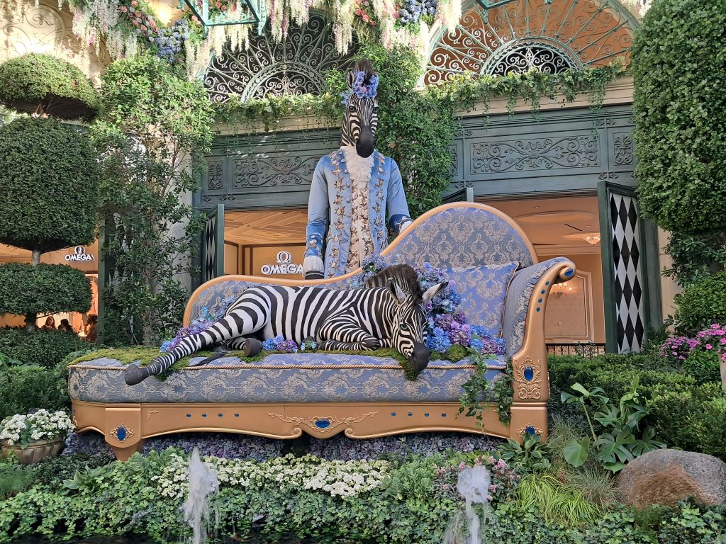 Zebras.jpg