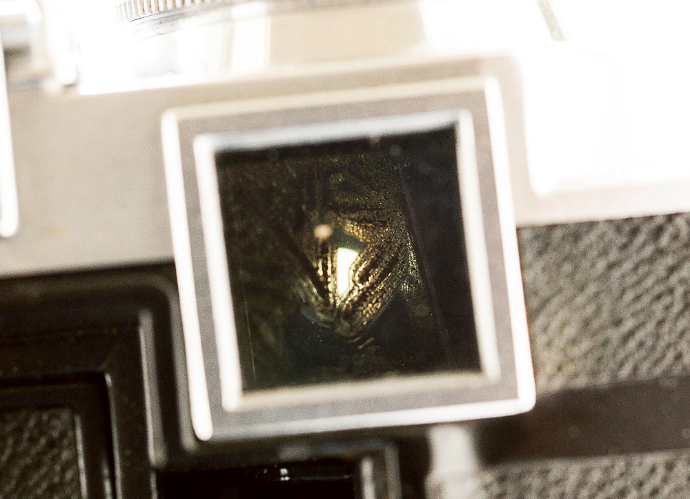 Zeiss Super Ikonta 533:16 BX 4 viewfinder.jpg