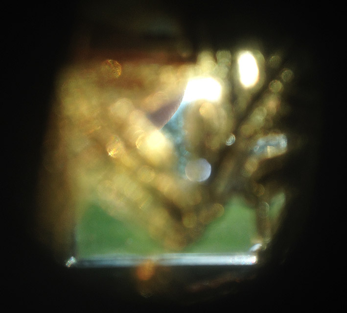 Zeiss Super Ikonta 533:16 BX 5 viewfinder.JPG