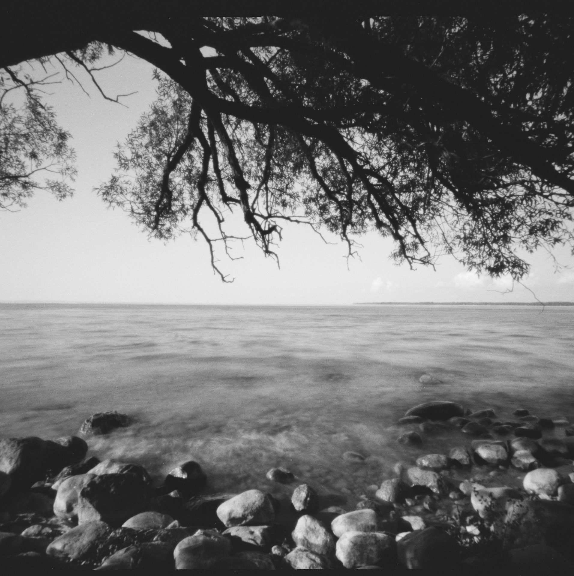 zeroimage-pinhole-2018-9-4.jpg
