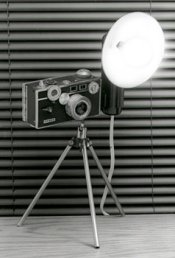 arguslamp.jpg