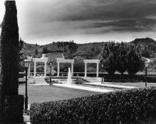 Our Yard 1.jpg