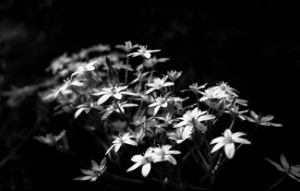 File0246.jpg
