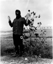 sunflower.jpg