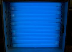 UVLightBox.jpg