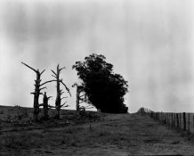 scan2a.JPG