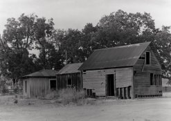 ilford ortho.jpg