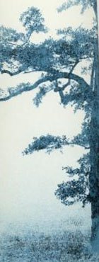 Tree Swatch.jpg