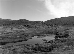 film414-08.jpg