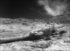 film414-10.jpg