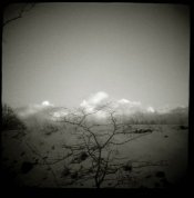 id-winter1a.jpg