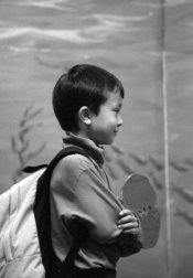 Tri-X2small.jpg