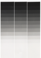 Easel1.gif