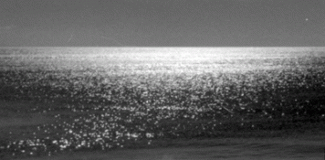 DetailNegScan1.gif