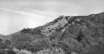 efke R100 002a bw rsz2a.jpg