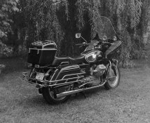 guzzi1Copya.jpg