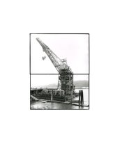 Crane_Diptych_Full_20x24.jpg