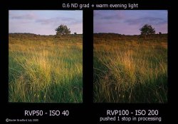 Red-hill-bog-film-testAPUG.jpg