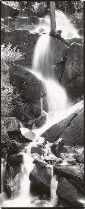 YosCreekPos.jpg