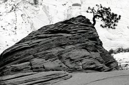 outonarock.jpg