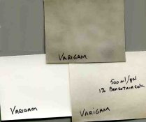 Varigam.jpg