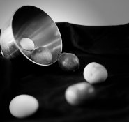 091505_First4x5TestsV_Egg2Egg.jpg