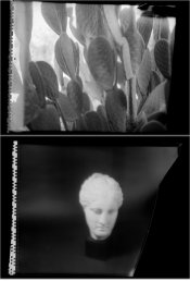 Polaroid 55  in Perceptol.jpg