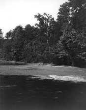 Low Water.jpg