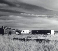grain_1.jpg