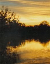Chelseas's-river.jpg