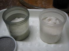 catechol.JPG