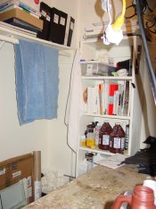 DSC00069.jpg
