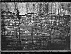 Brick Wall.jpg