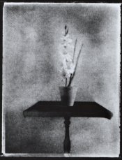 Flower On Table 2.jpg