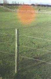 Crayford Fields.jpg