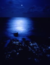 nightshine2.jpg