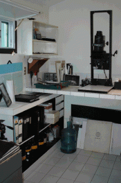 Printing.gif