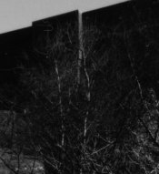 potrhydyfen_viaduct_cp200_section2.jpg