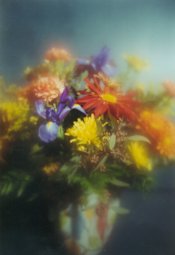 Chelseas-flower-2.jpg